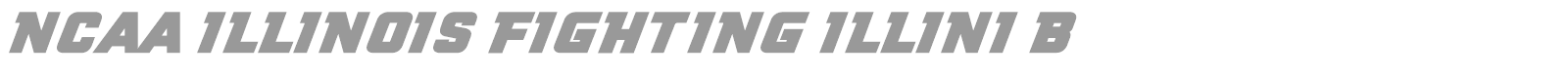 NCAA Illinois Fighting Illini Bold font preview